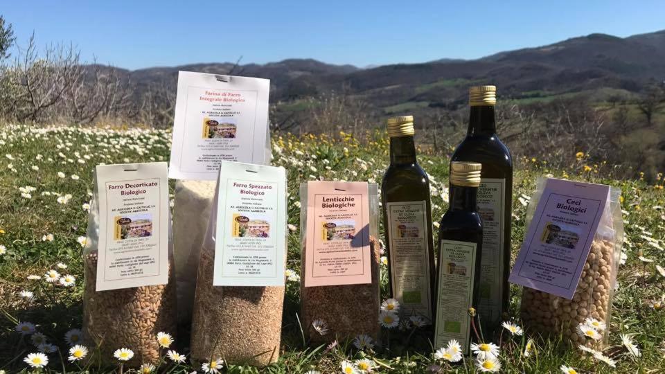 Agriturismo Il Castello Assisi Ngoại thất bức ảnh