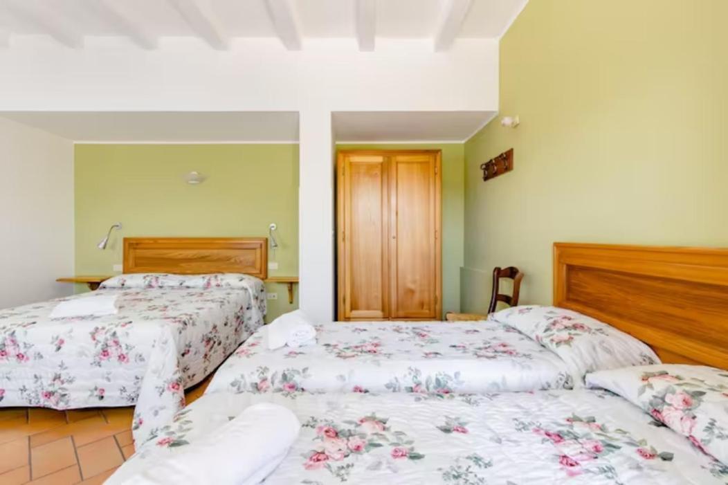 Agriturismo Il Castello Assisi Ngoại thất bức ảnh