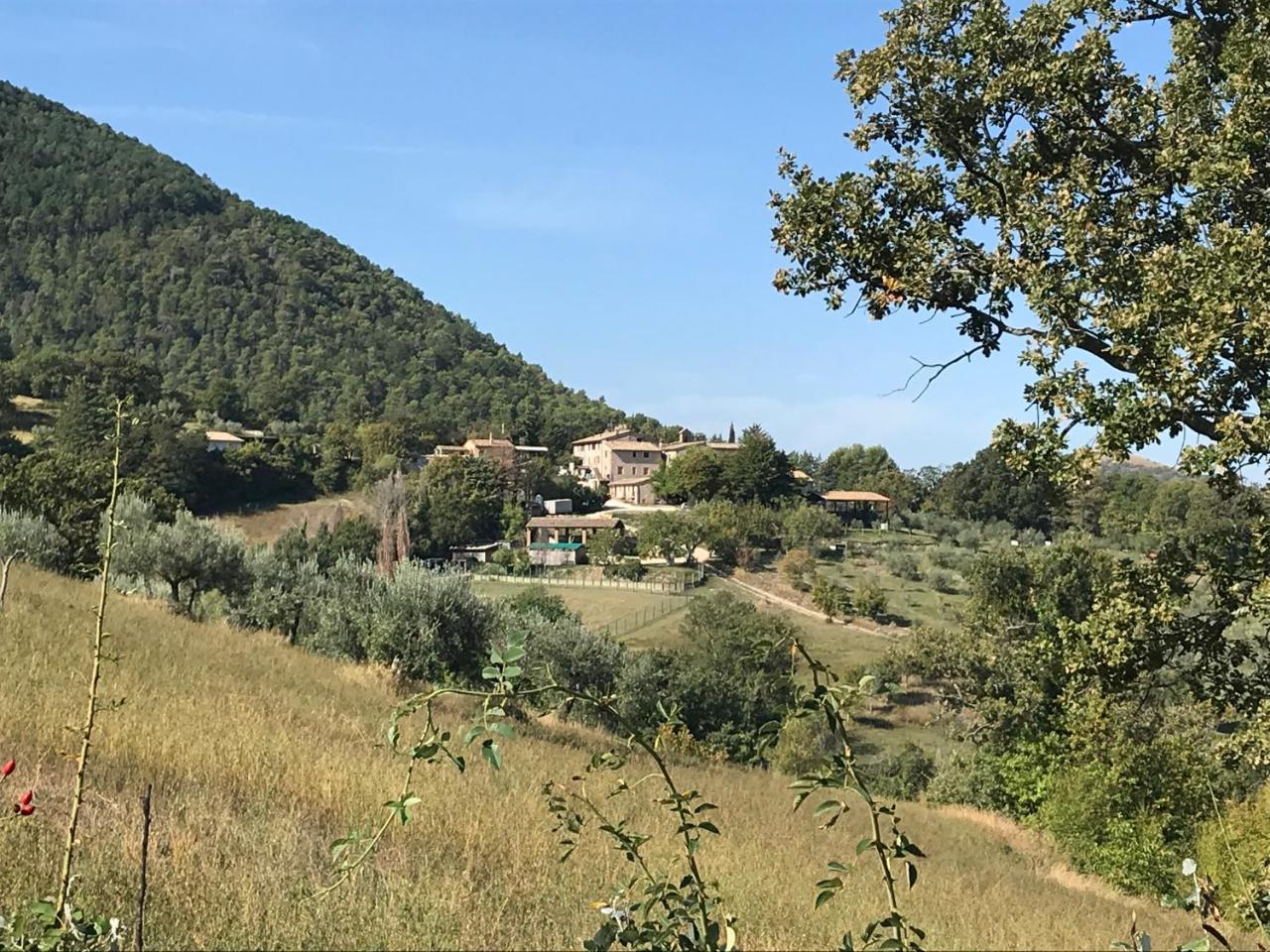 Agriturismo Il Castello Assisi Ngoại thất bức ảnh